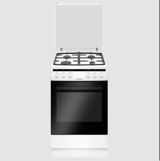 Комбинированная плита Hansa FCMW590977 Комбинированная плита Hansa FCMW590977