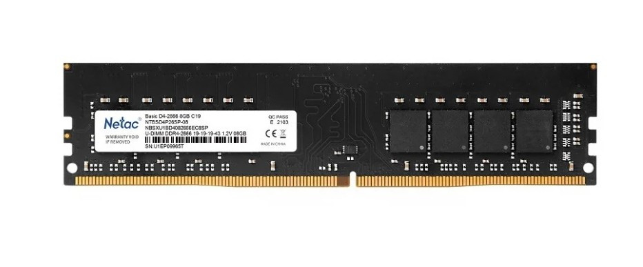 Оперативная память Netac 8 ГБ DDR4 2666 МГц DIMM CL19 NTBSD4P26SP-08
