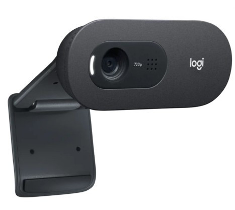 Веб камера Logitech C505 720p/30fps, угол обзора 60° (960-001364) Веб камера Logitech C505 720p/30fps, угол обзора 60° (960-001364)