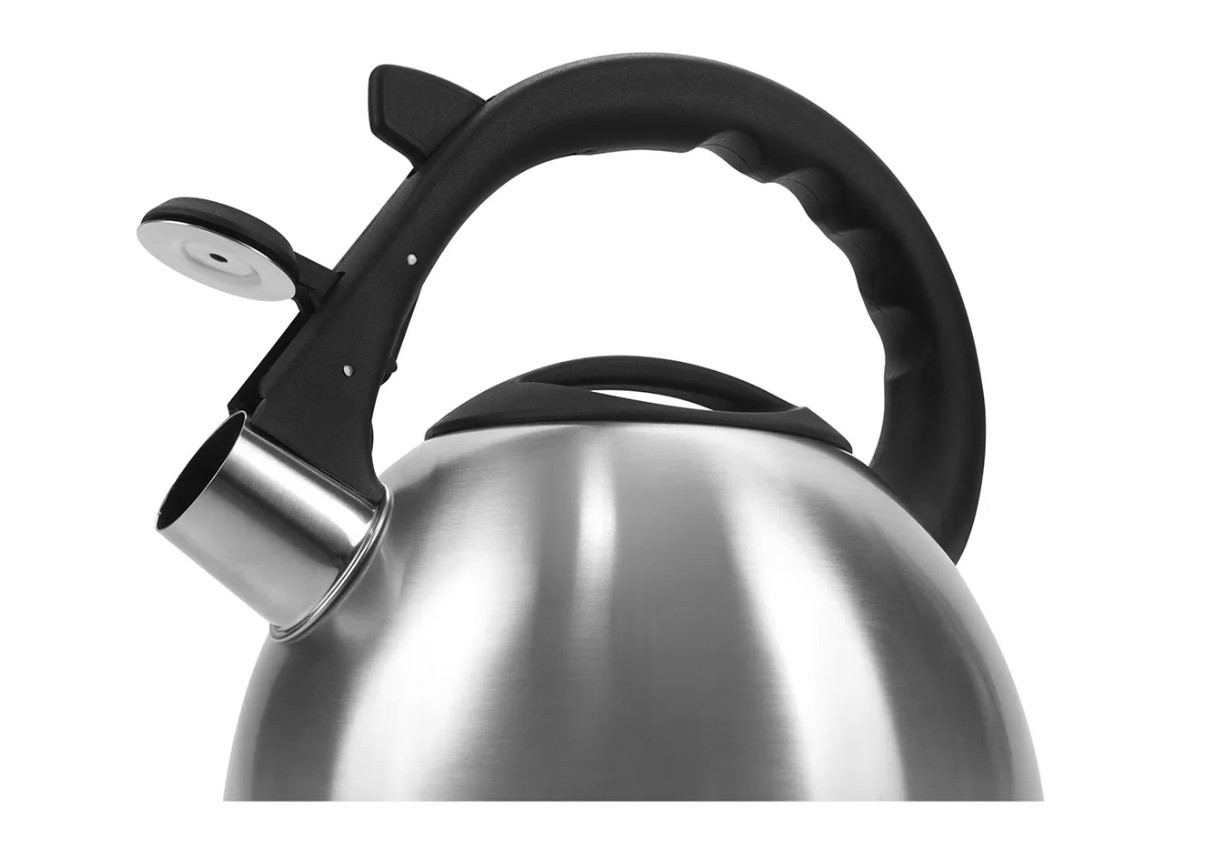 Чайник для газовой плиты со свистком Polaris Verde-2.2L