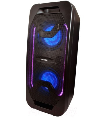 Портативная акустика Toshiba TY-ASC66 Портативная акустика Toshiba TY-ASC66