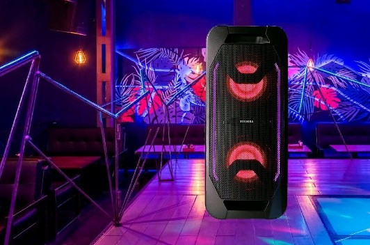 Портативная акустика Toshiba TY-ASC66 Портативная акустика Toshiba TY-ASC66