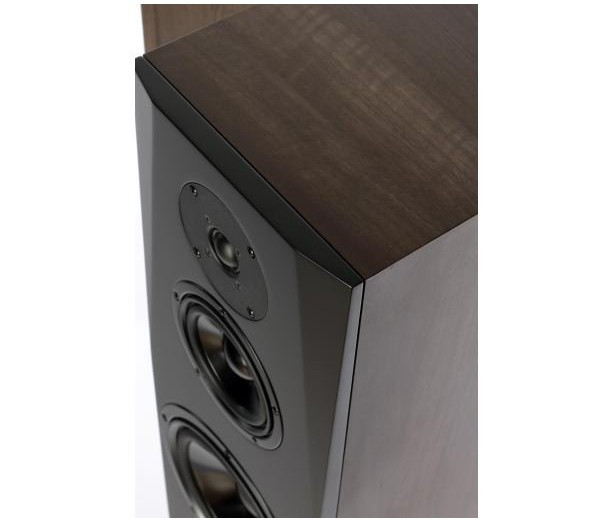 Акустическая система Pylon Audio Sapphire 31 (walnut) Акустическая система Pylon Audio Sapphire 31 (walnut)