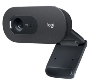 Вебкамера Logitech C505 HD Webcam - BLACK