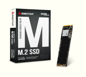 Диск SSD M.2 PCI-E 256Gb BIOSTAR M760 Series, M.2 PCI-E 3.0 x4, NVMe. Speed: Read-3500Mb/s, Write-1300Mb/s размеры: 22 x 80 x 2 мм ( SA122PME36 )
