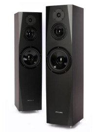 Акустическая система Pylon Audio Sapphire 31 (wenge)