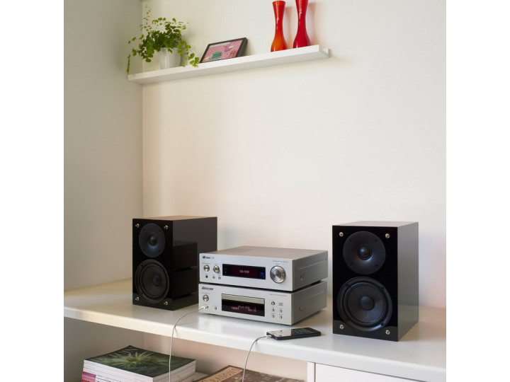 Музыкальные центры Pioneer P1-S (серебро)