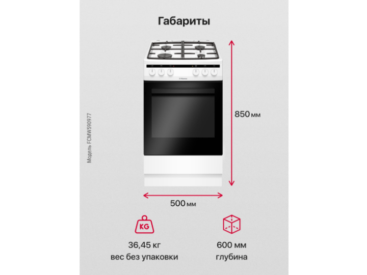 Комбинированная плита Hansa FCMW590977 Комбинированная плита Hansa FCMW590977