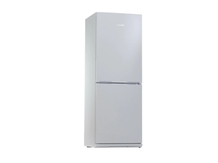 Холодильник Snaige RF30SM-S10021 Холодильник Snaige RF30SM-S10021